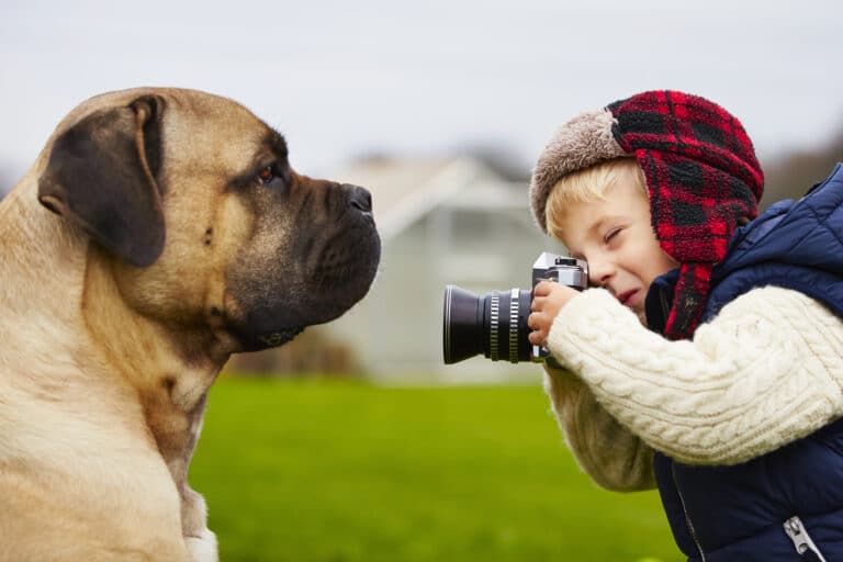 The Best Sony Lenses for Pet Photography